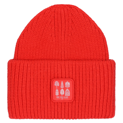 Wavelength Beanie