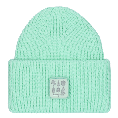 Wavelength Beanie